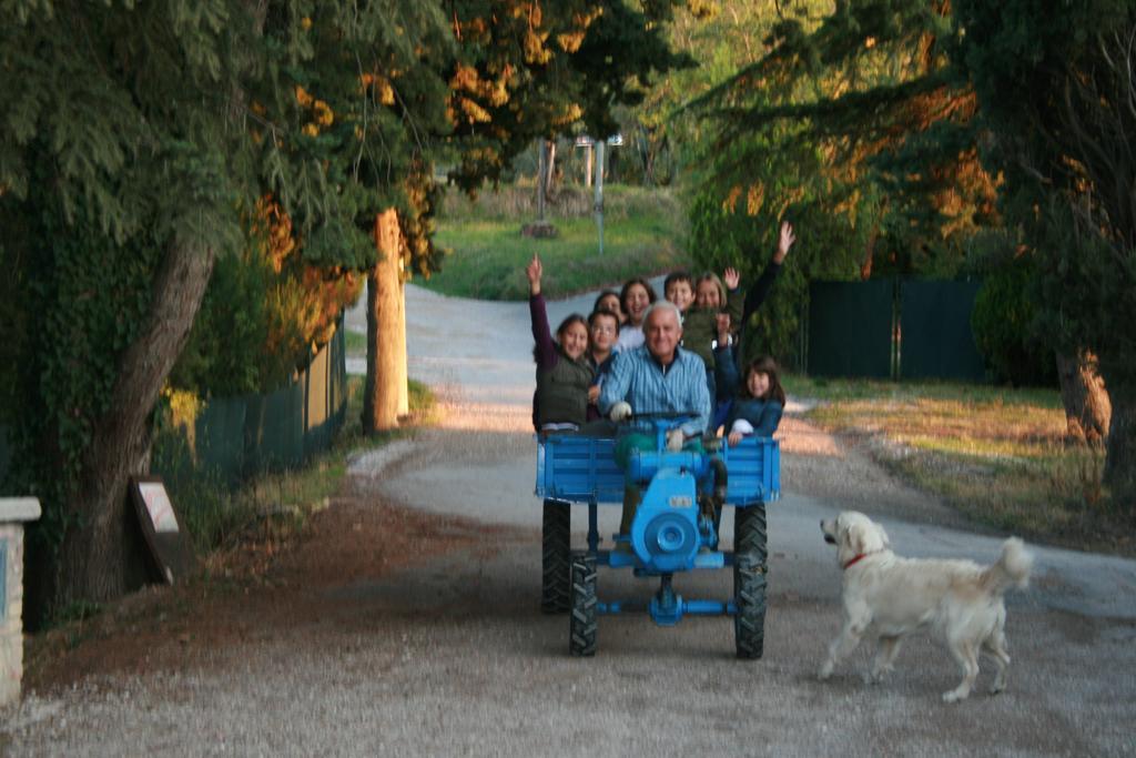 Agriturismo San Lorenzo Della Rabatta Cenerente Номер фото